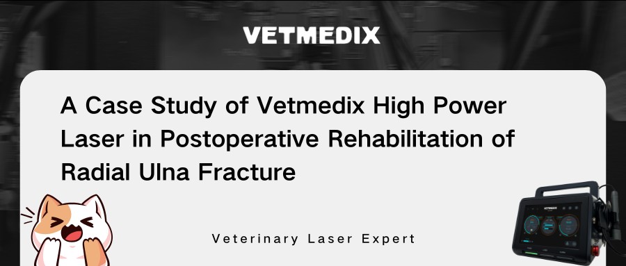 مشاركة حالة Vetmedix 丨 العلاج بالليزر عالي الطاقة في إعادة تأهيل ما بعد الجراحة لكسر الزند الشعاعي
